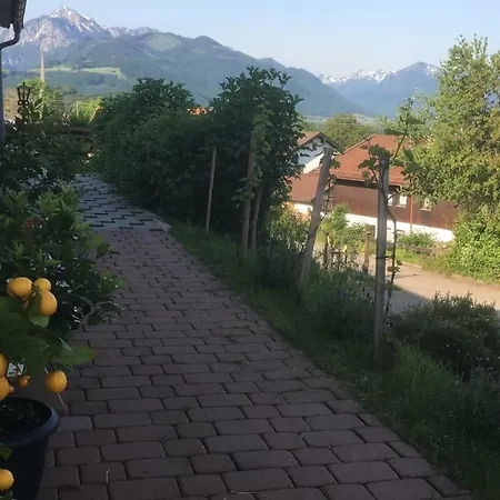 Chiemgau Viktoria 3*
